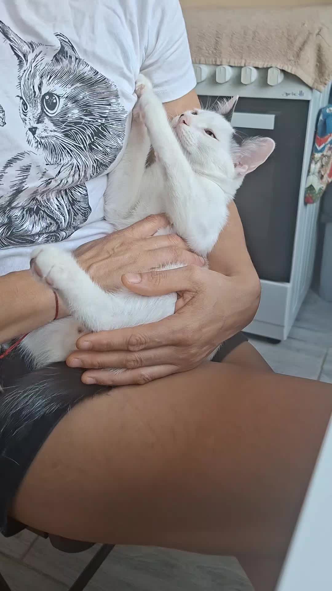 @I Love Cats Forever🐱🐾💙