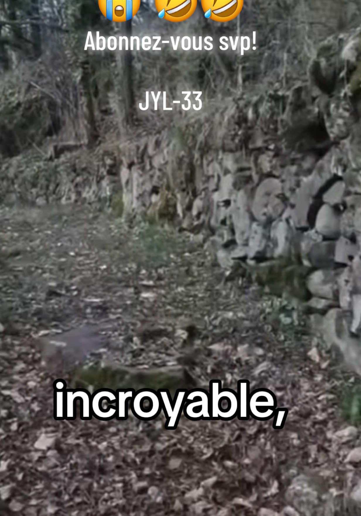 @JYL-33