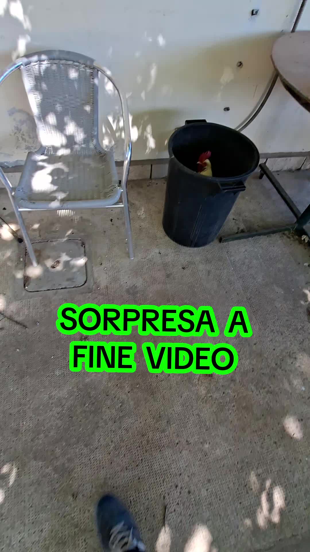 @Luca Pastore Gnurant Sessa