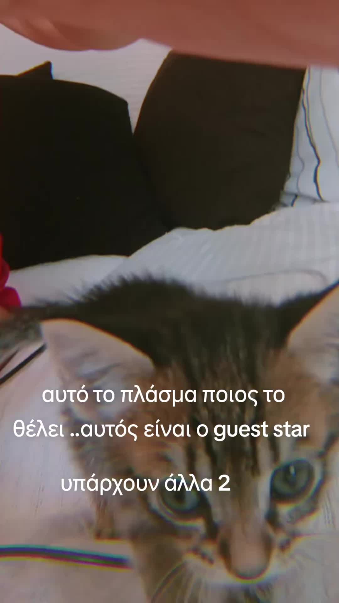 @Tzina tzinaki
