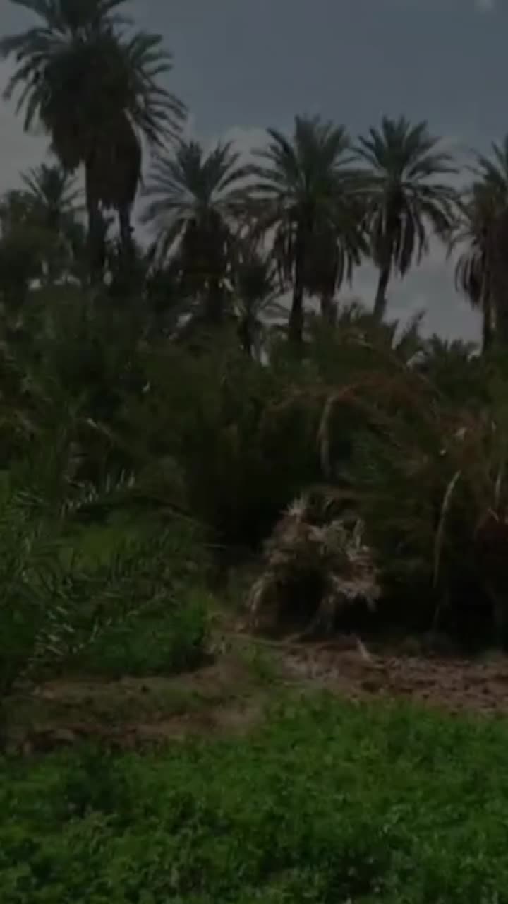 @salmahoura