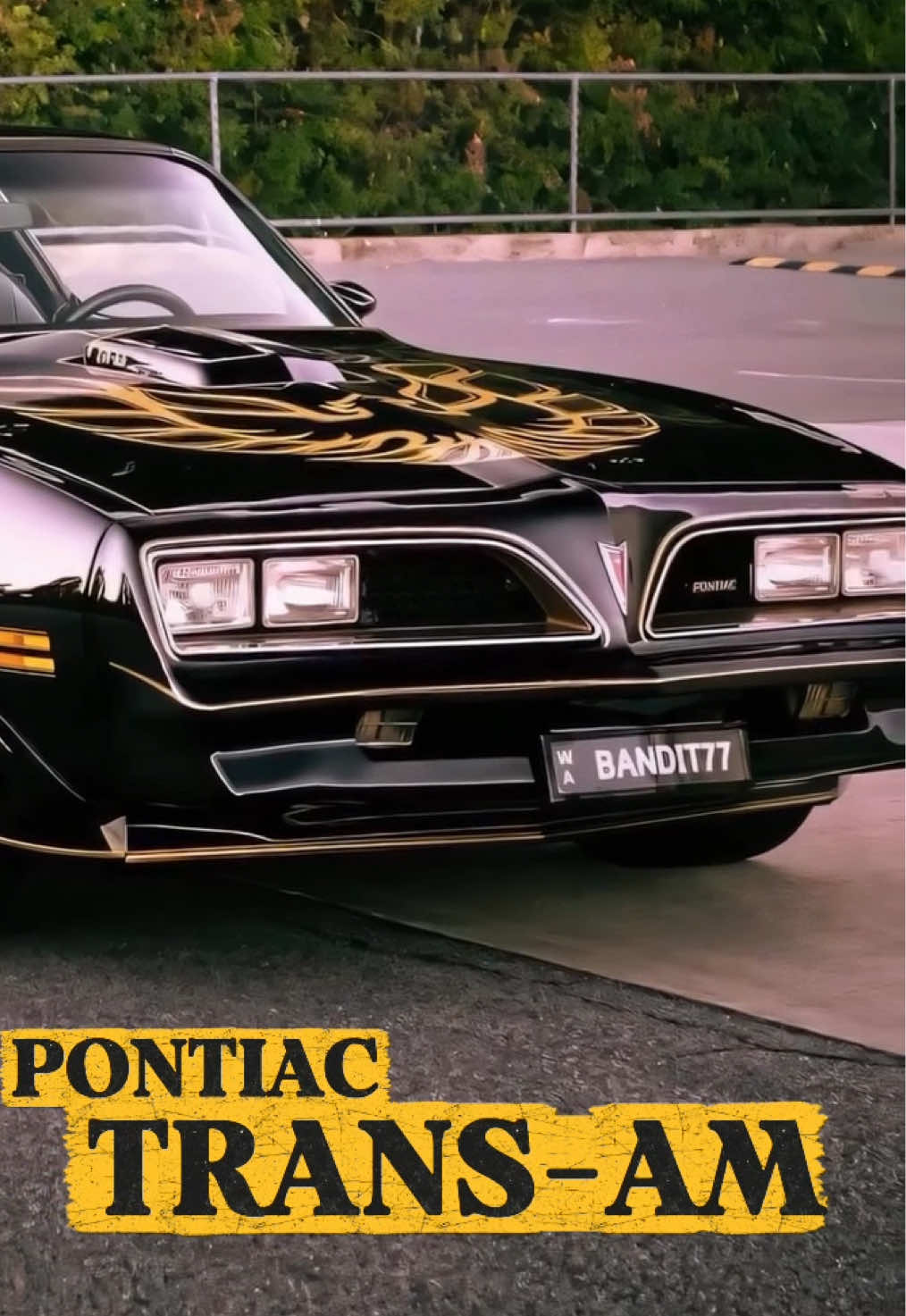 @mostwantedmotors