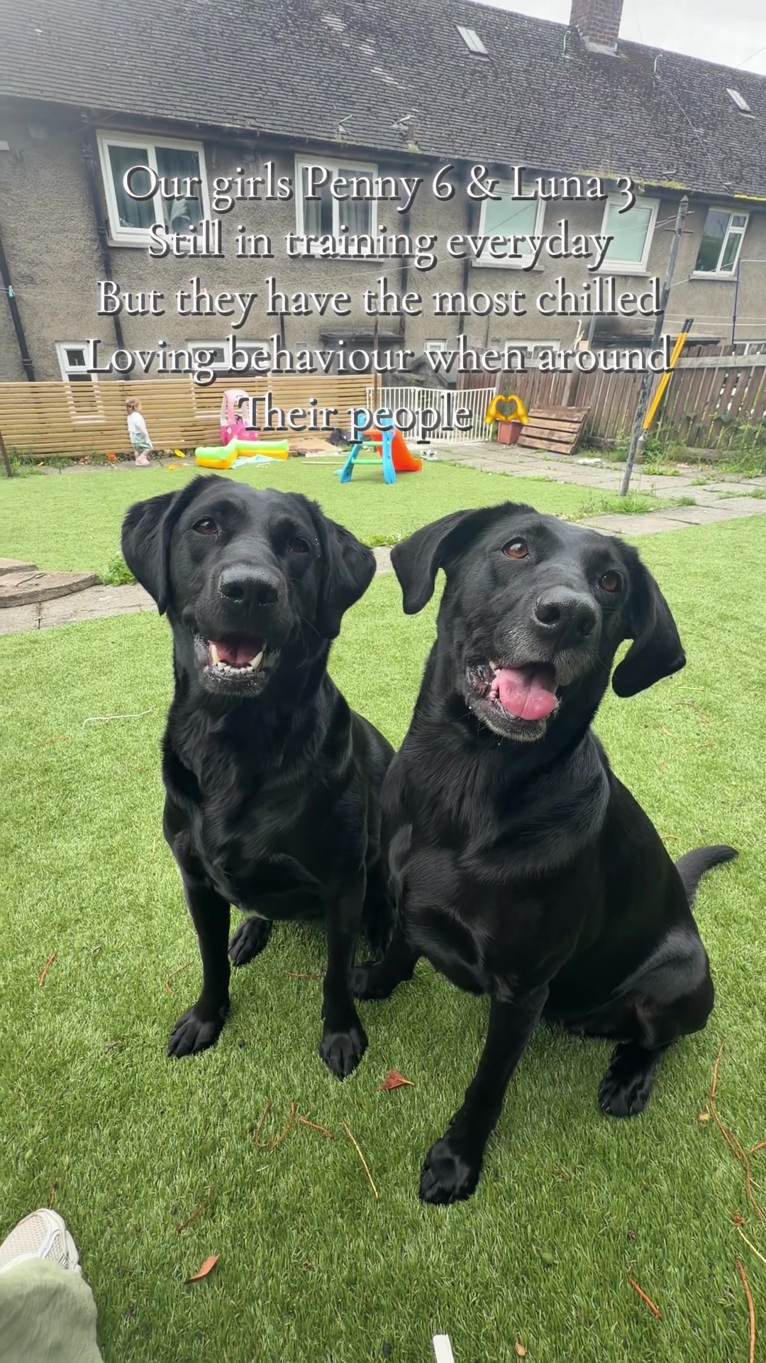 @Penny 🧡 Luna