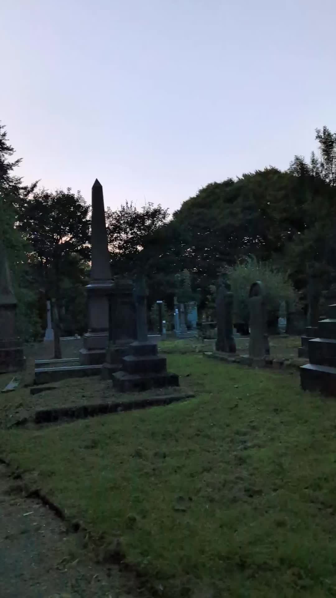 @GraveSnape🪦