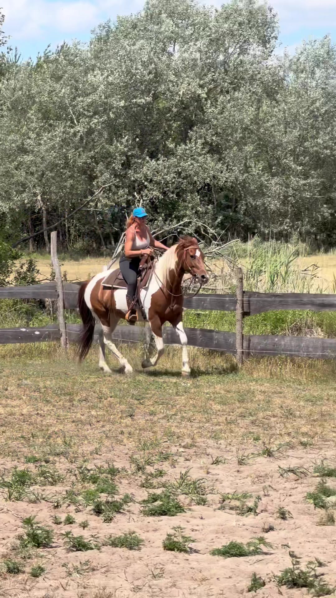 @Cestou Horsemanshipu