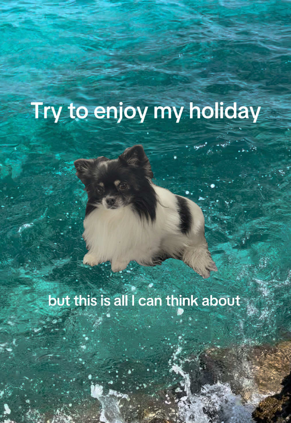@Nicoline Melbye