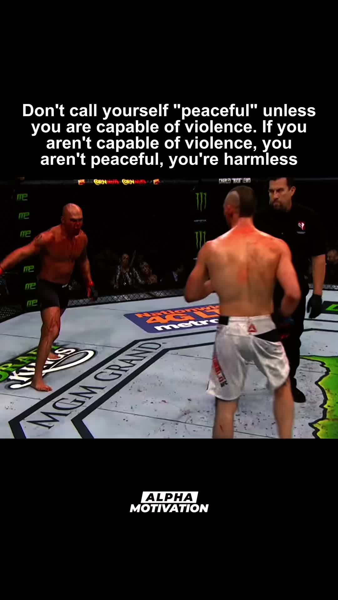 @Alpha Motivation