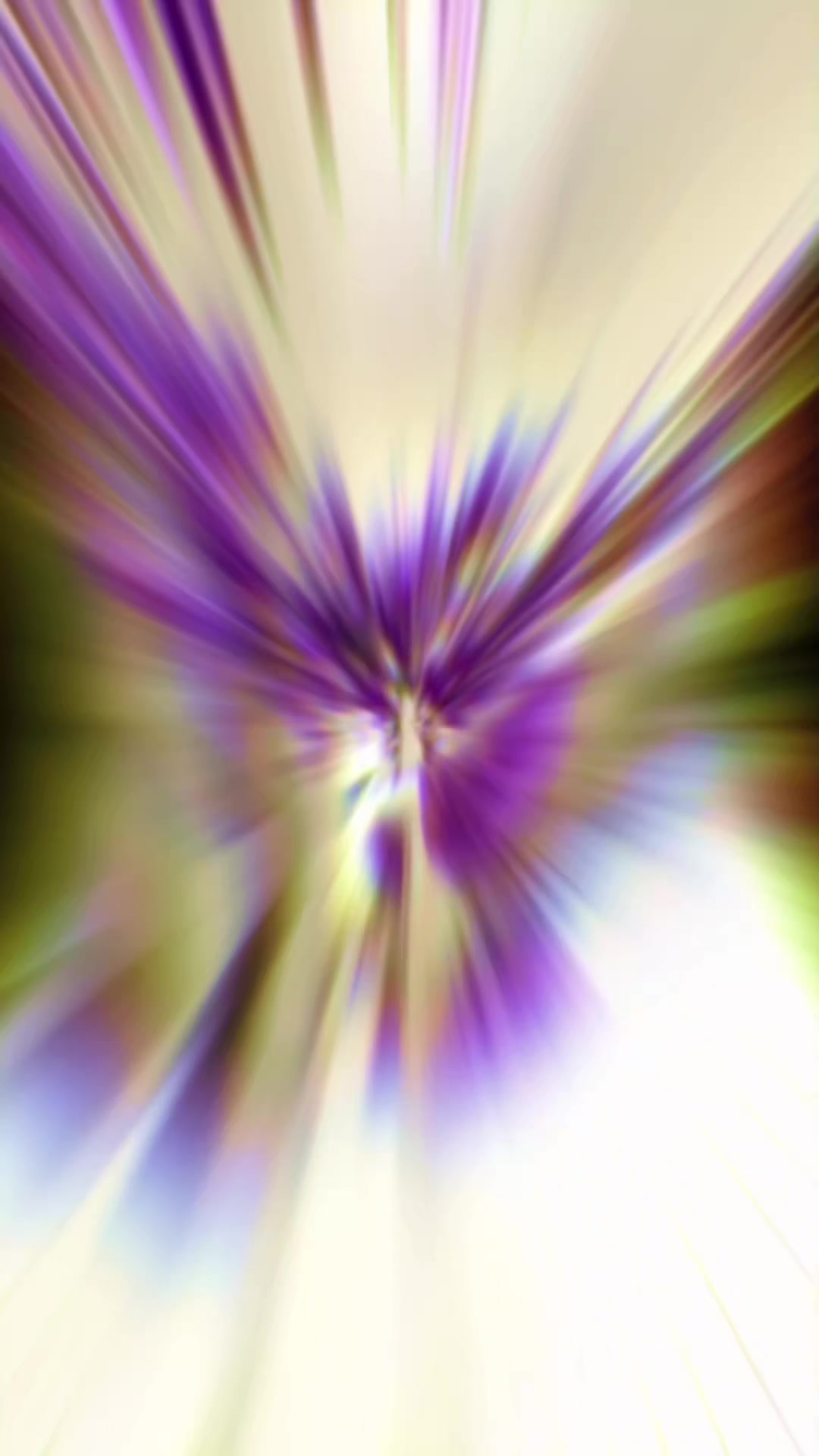 @𝐒 𝐇 𝐀 𝐎 𝐍
