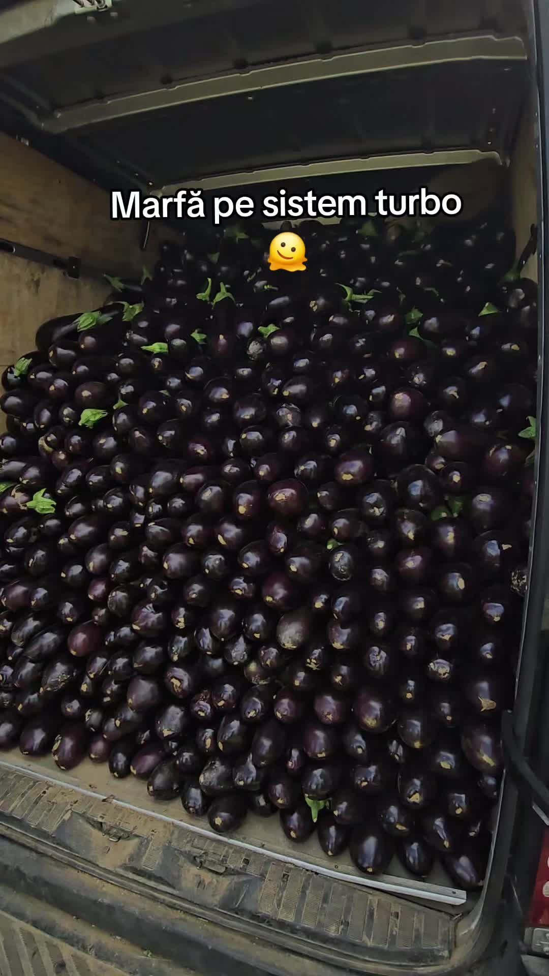 @Faze Farm