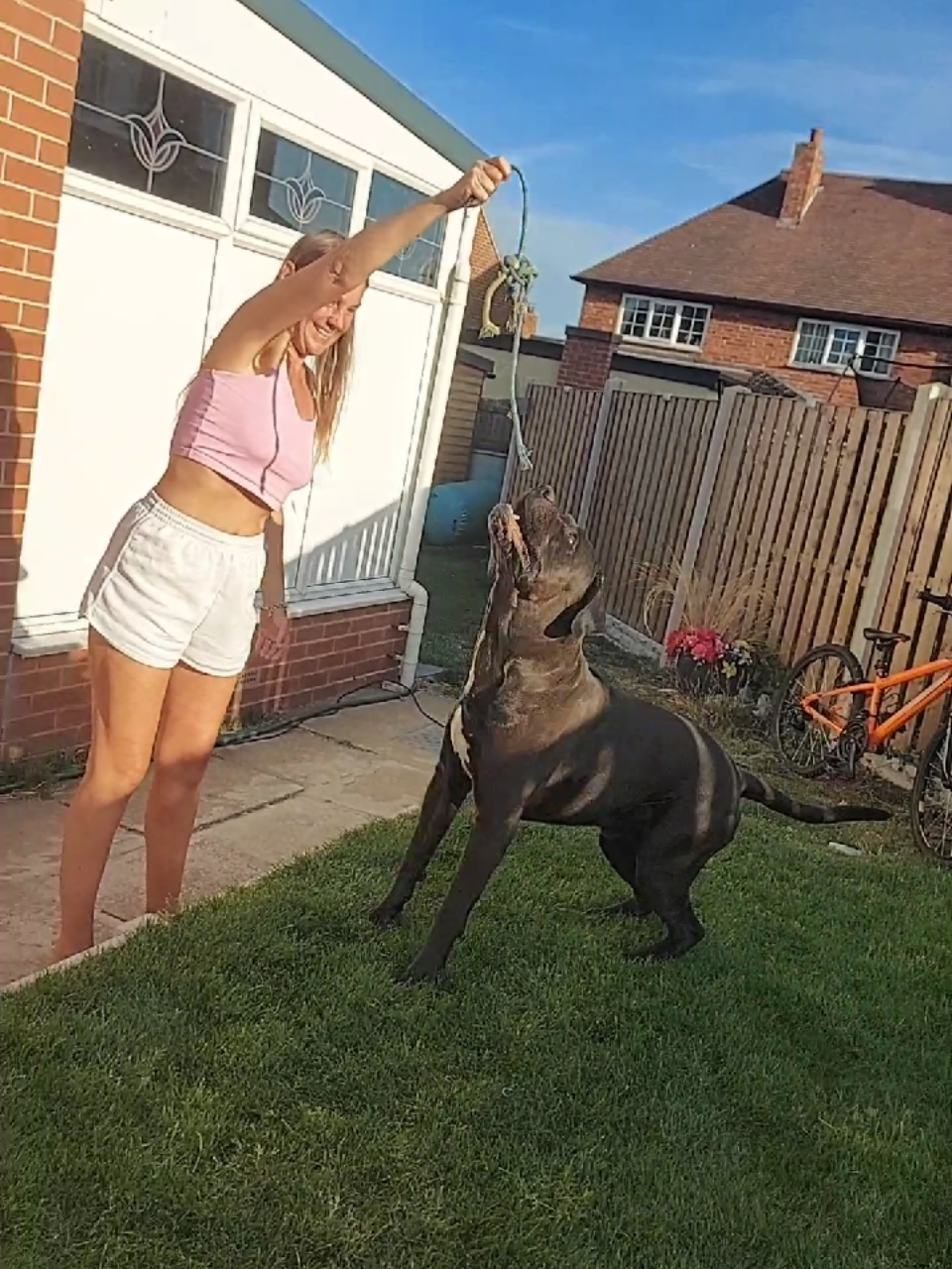 @Canecorspuppy