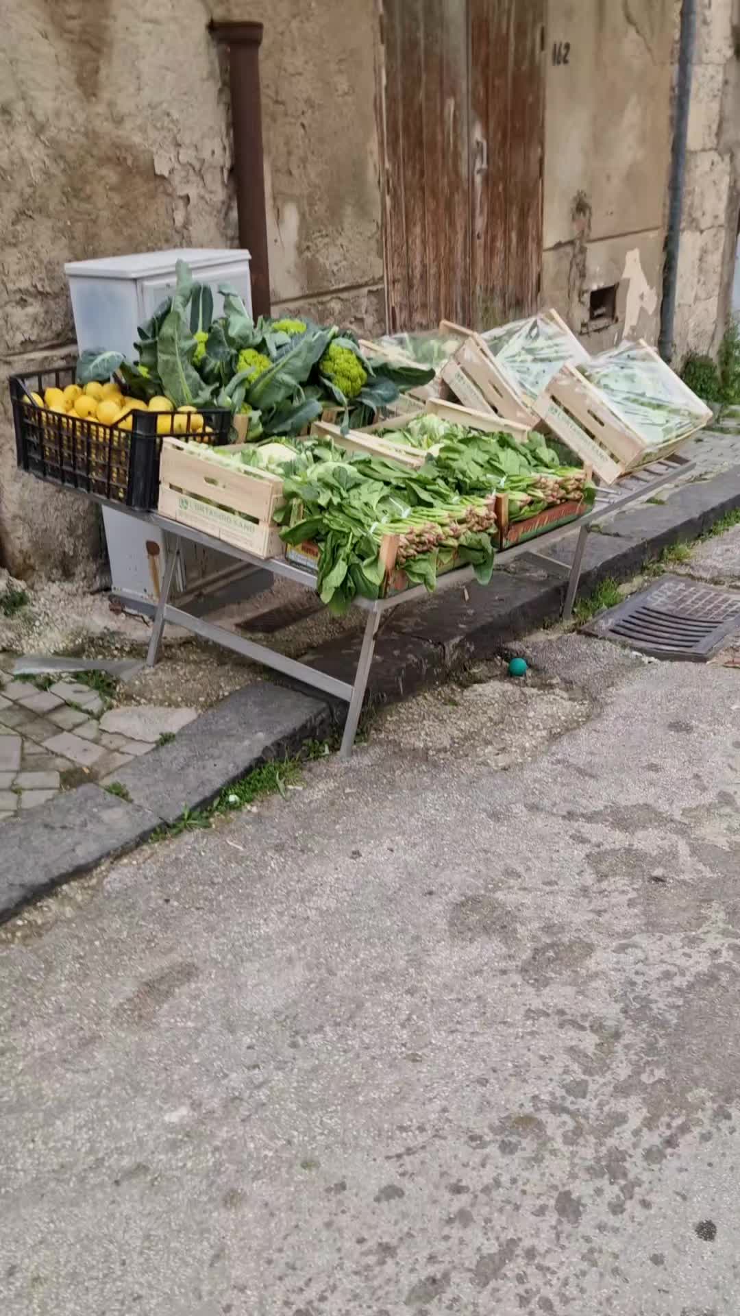 @GIUSEPPE CASTELLINO