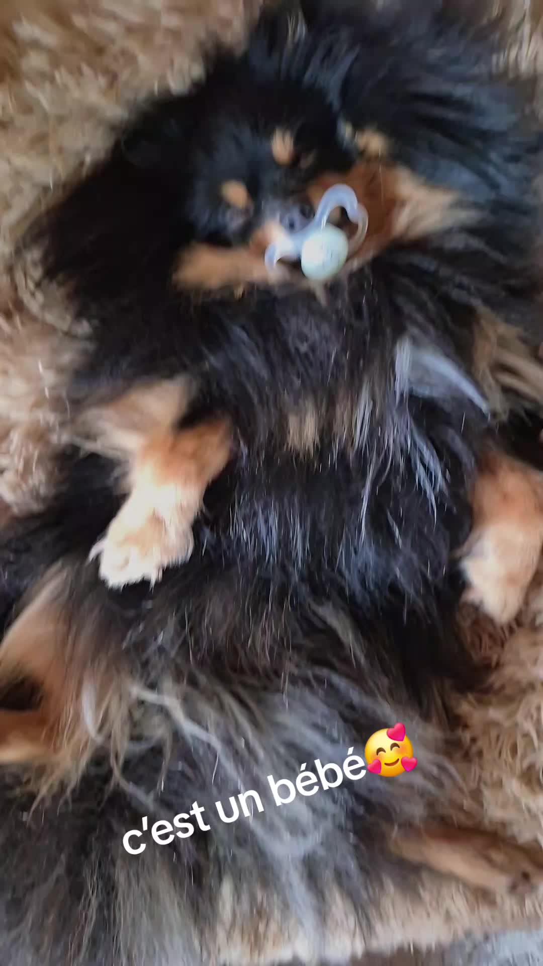 @ofelysana💖