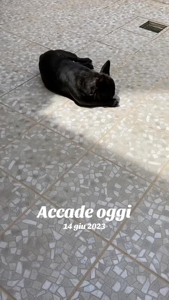 @Apolide