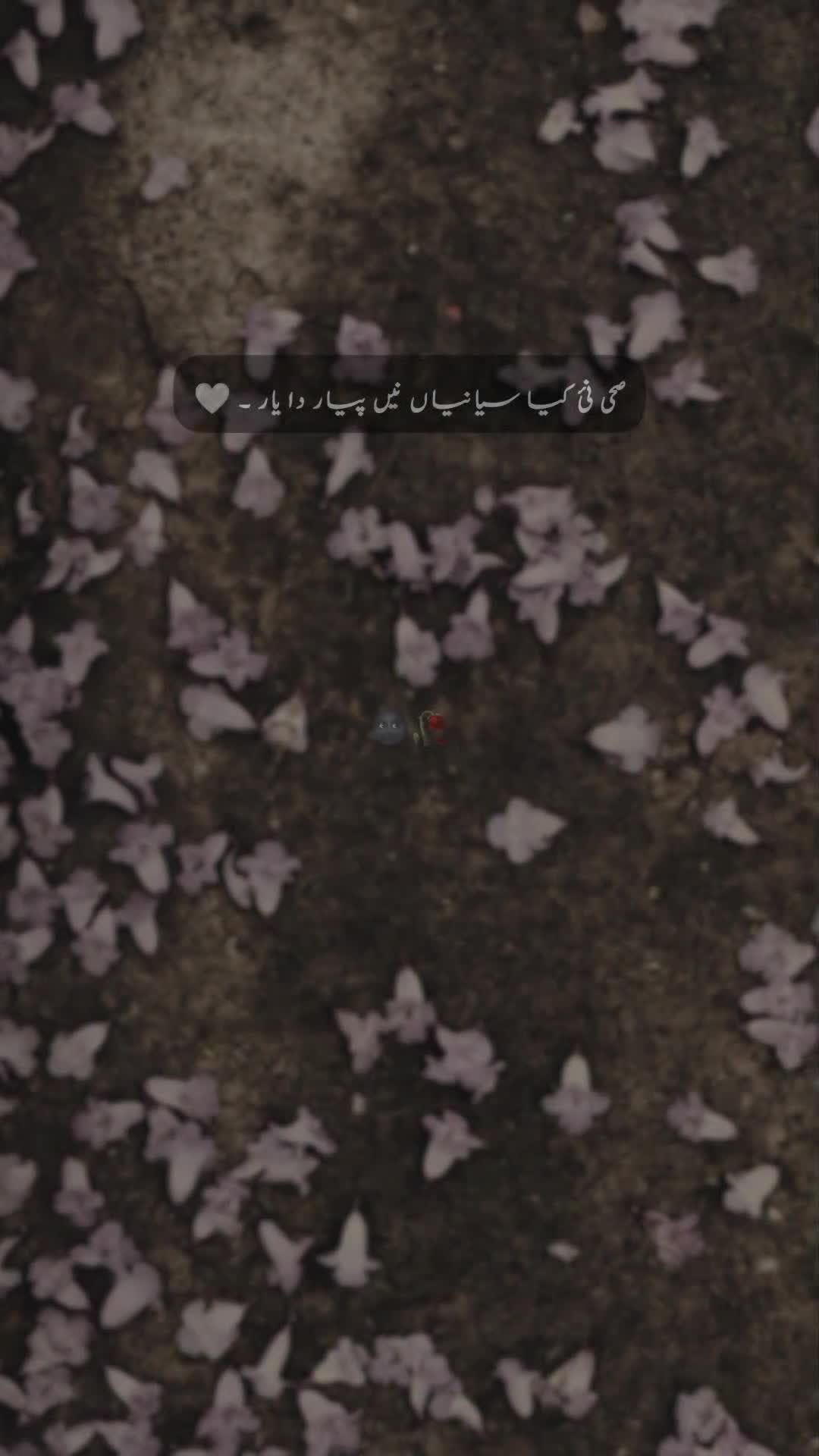 @𝐒 𝐚 𝐌 𝐢 🍂🫀