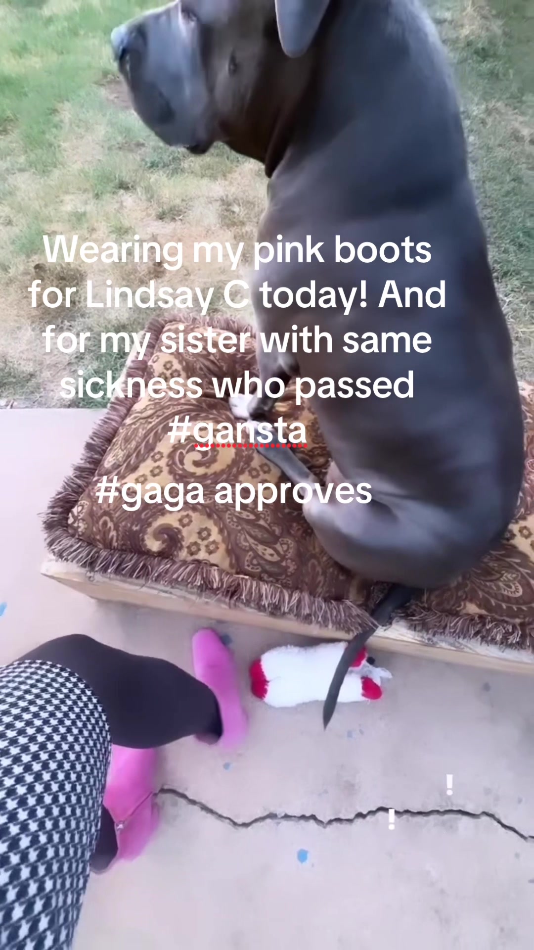 @ganstagirlsoklahoma
