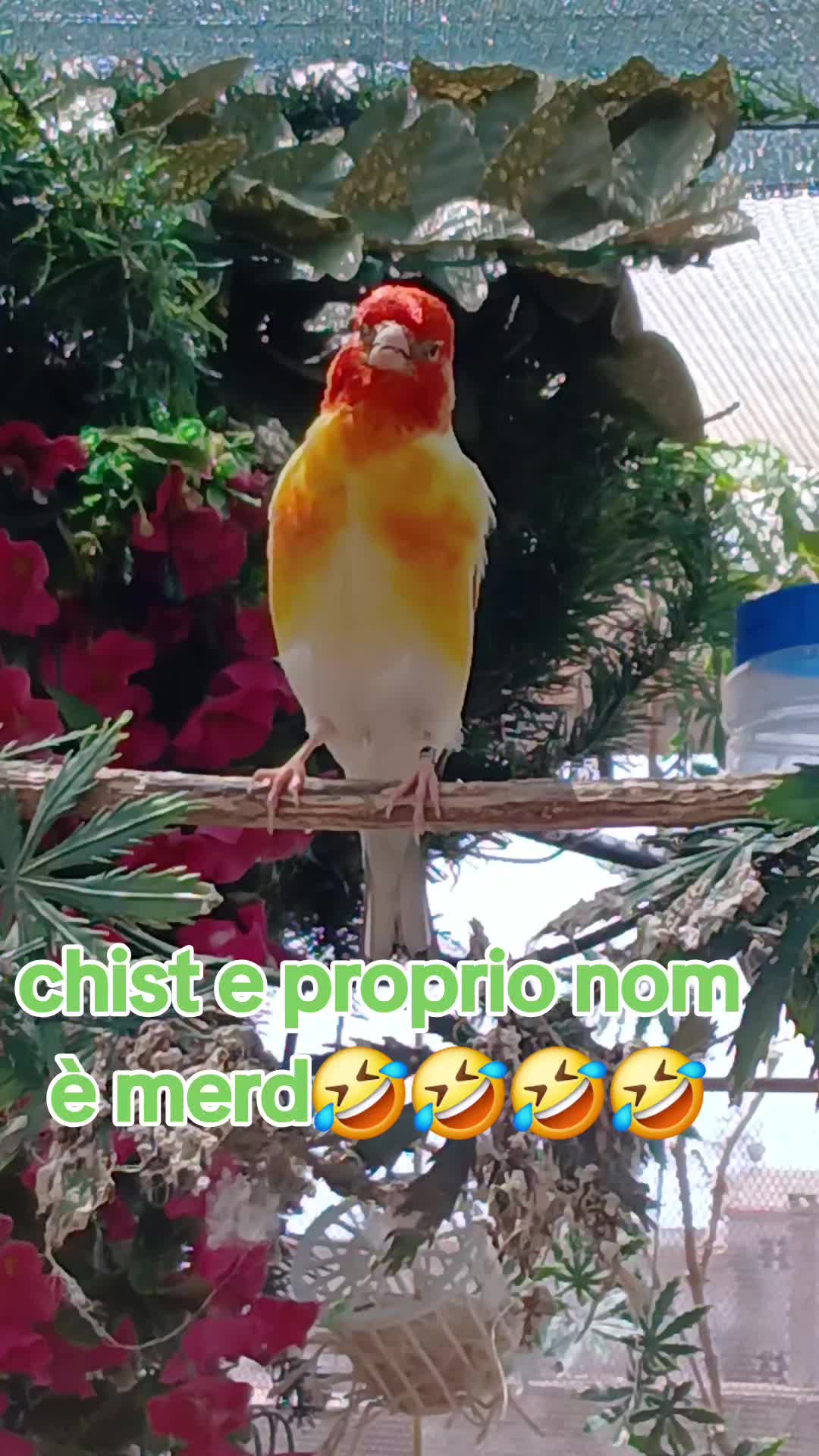 @Leonardo Dellacorte