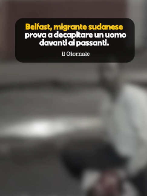 @Silvia Sardone