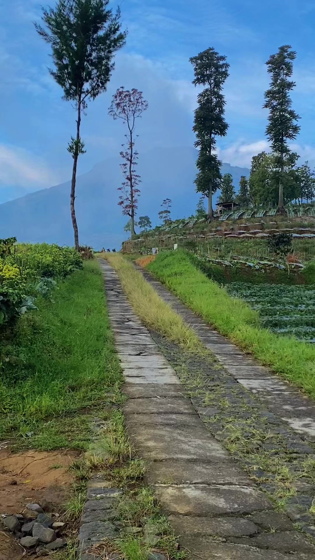 @BibinAdityaWibisana