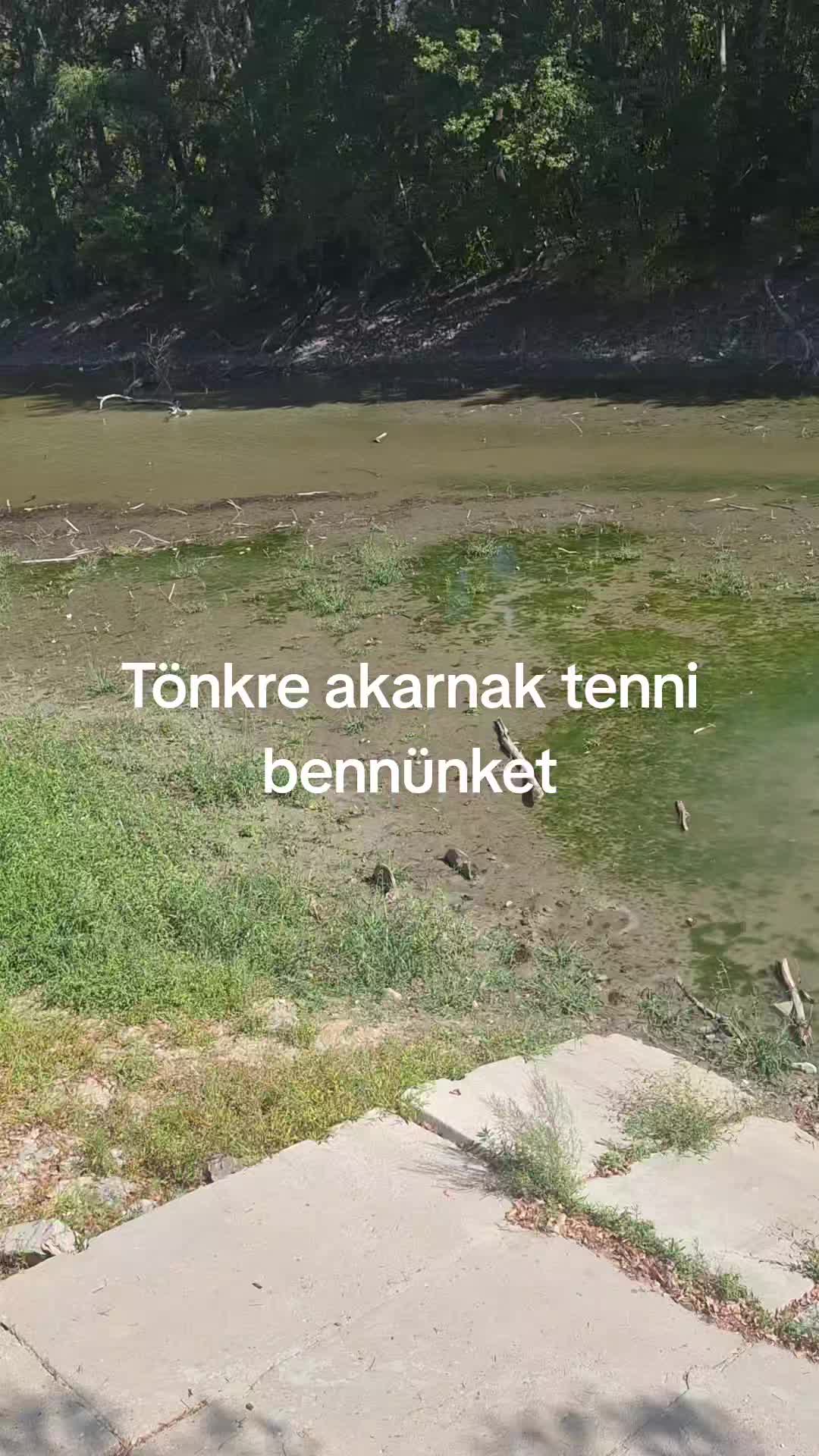 @Vir&aacute;gz&oacute; J&ouml;vő