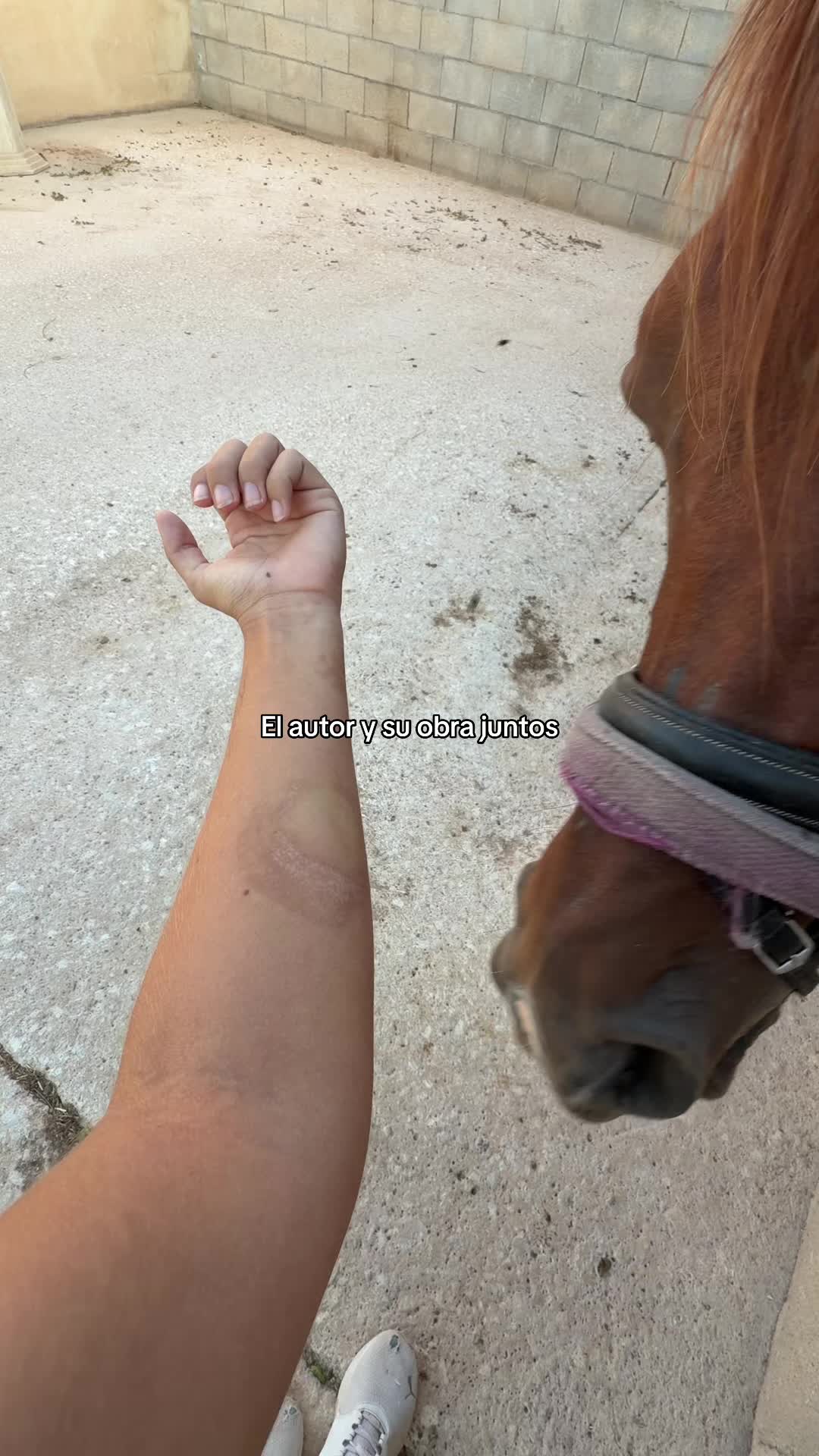 @MyHorse