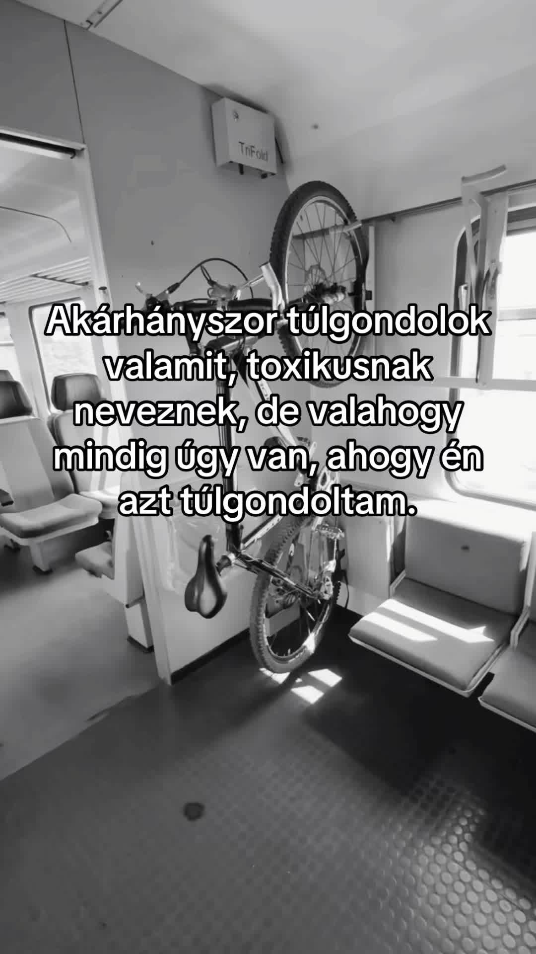 @noorbi_21