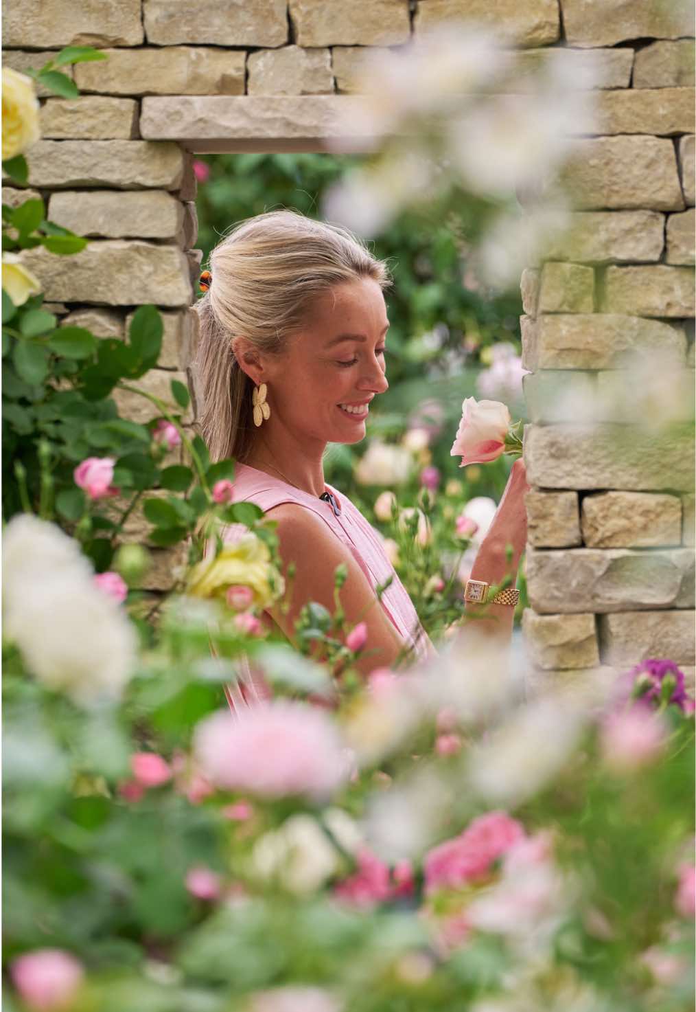 @David Austin Roses