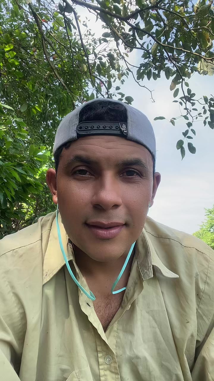 @Luifer-Oficial