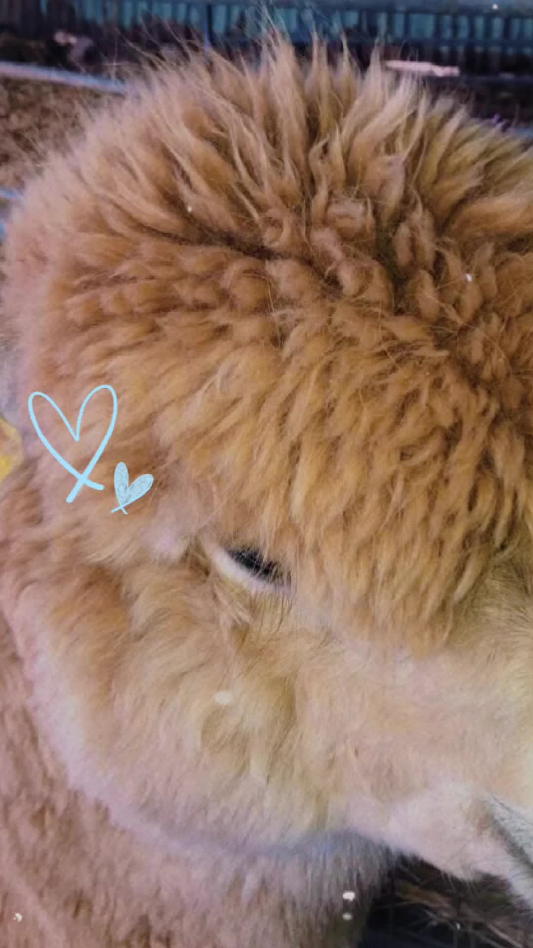@NorbertBacon