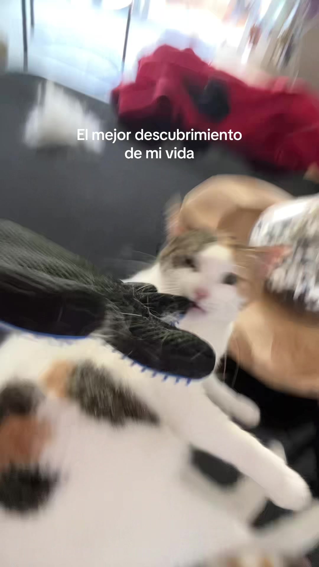 @María