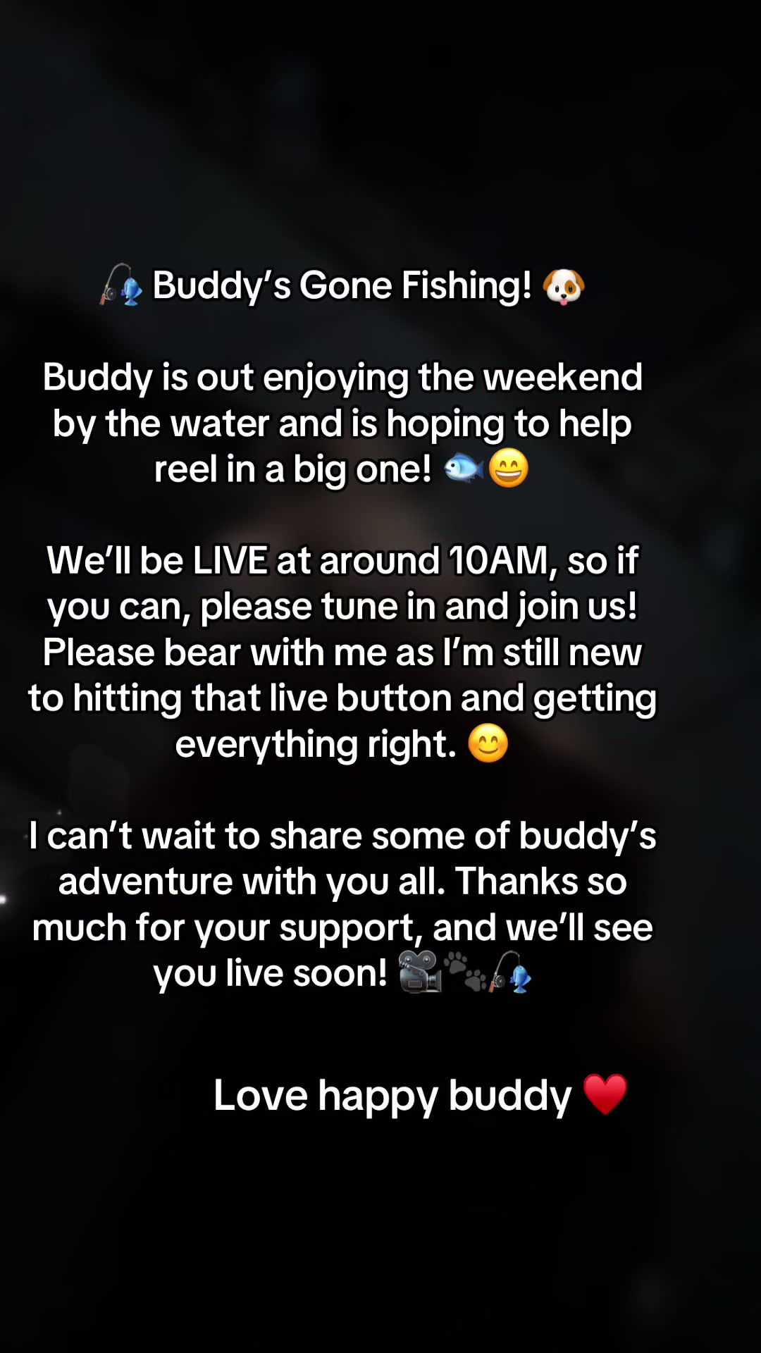 @Happy buddy