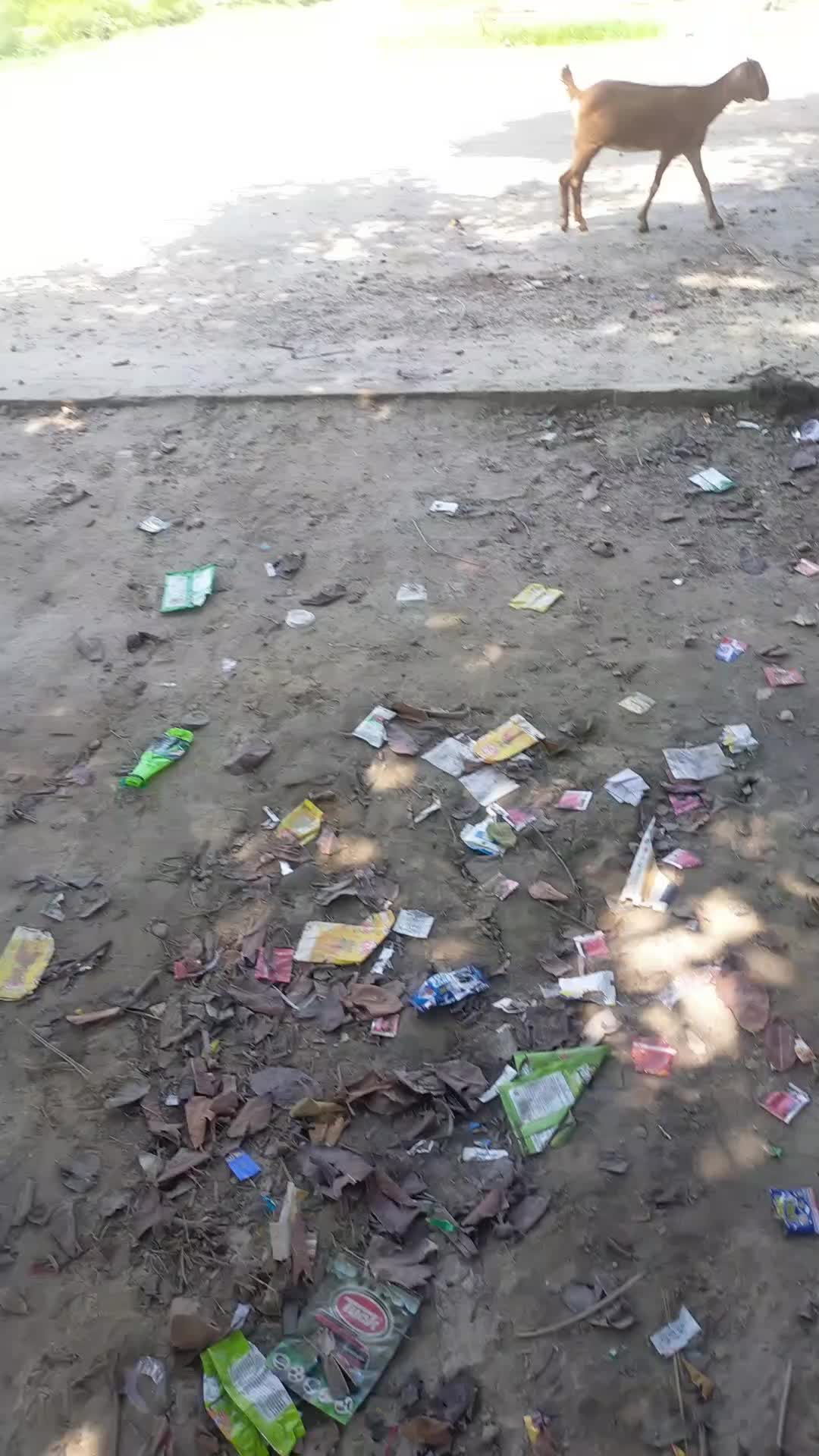 @Manish Yadav