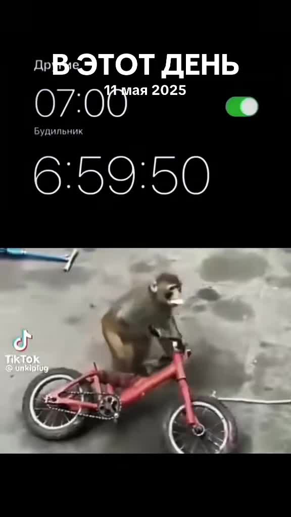 @bengdangdanil