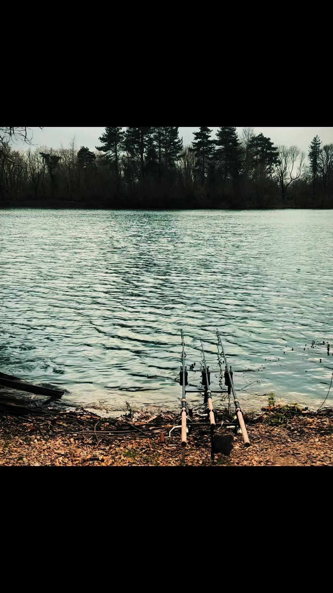 @fishingwithfoxy