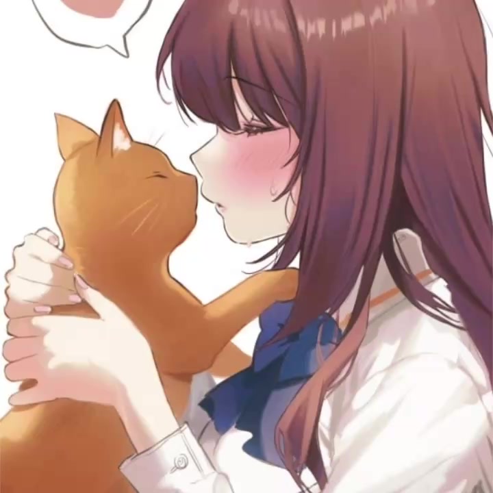 @kono!
