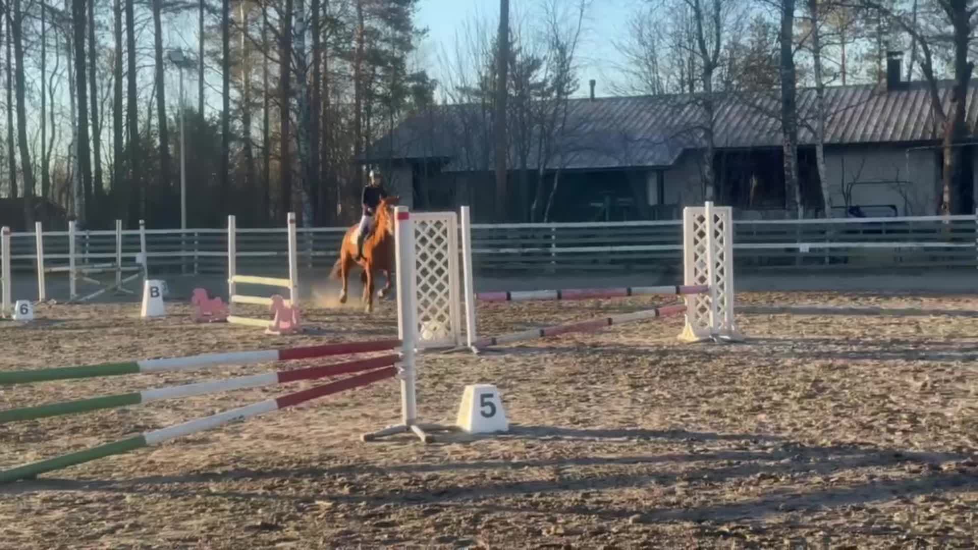 @Pinja💕
