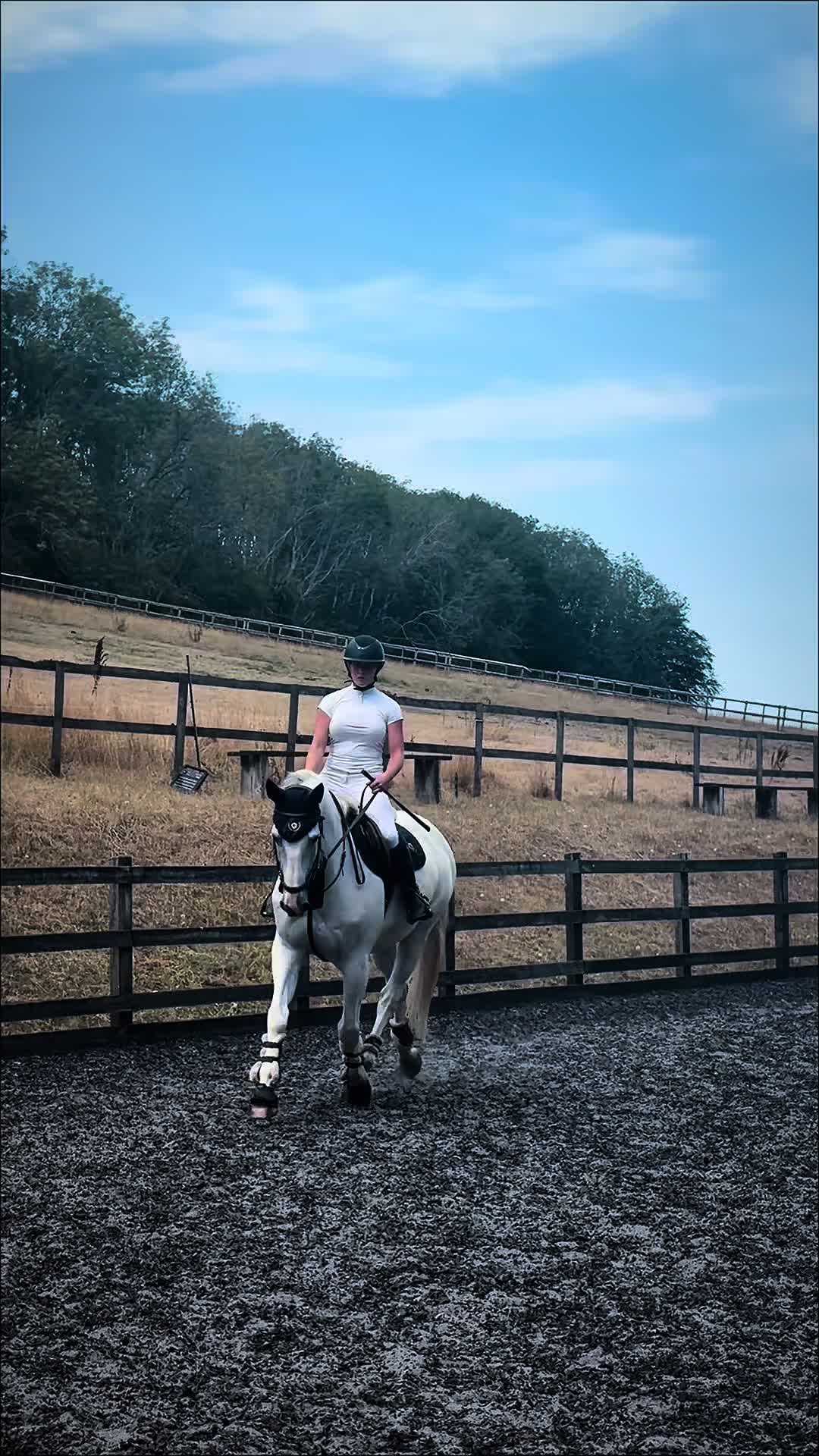 @Equ🐎:all the gear no idea🫶✌️