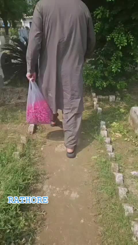 @Mohammad Zaheer Rathore