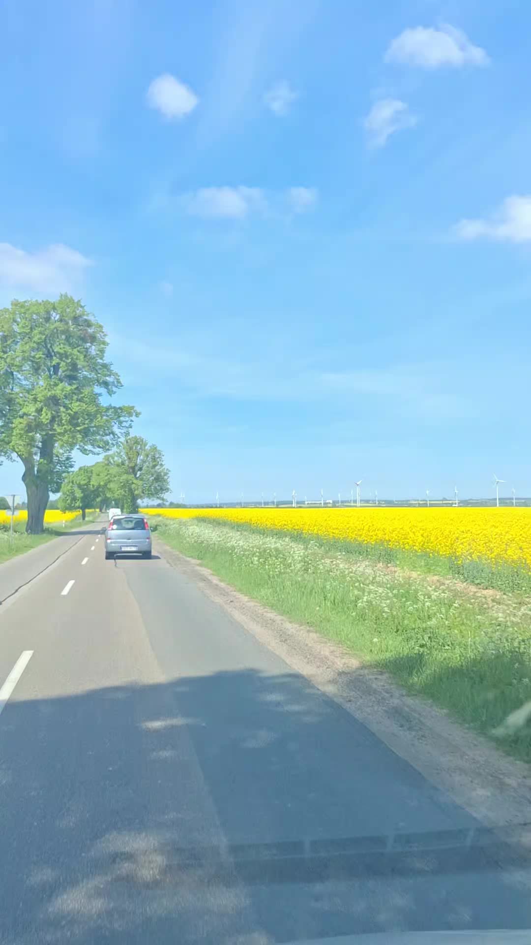 @pablo🇸🇪🇵🇱
