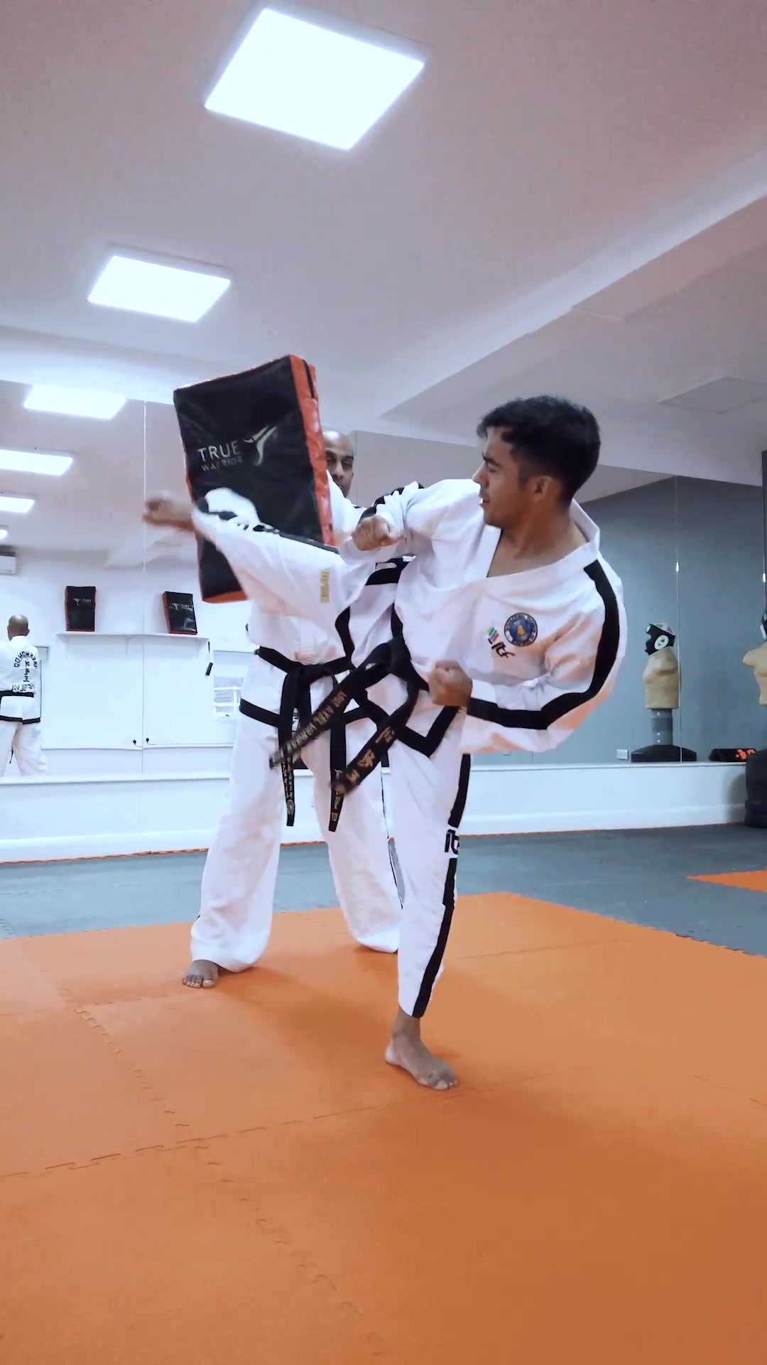 @The Taekwon-Do Hub