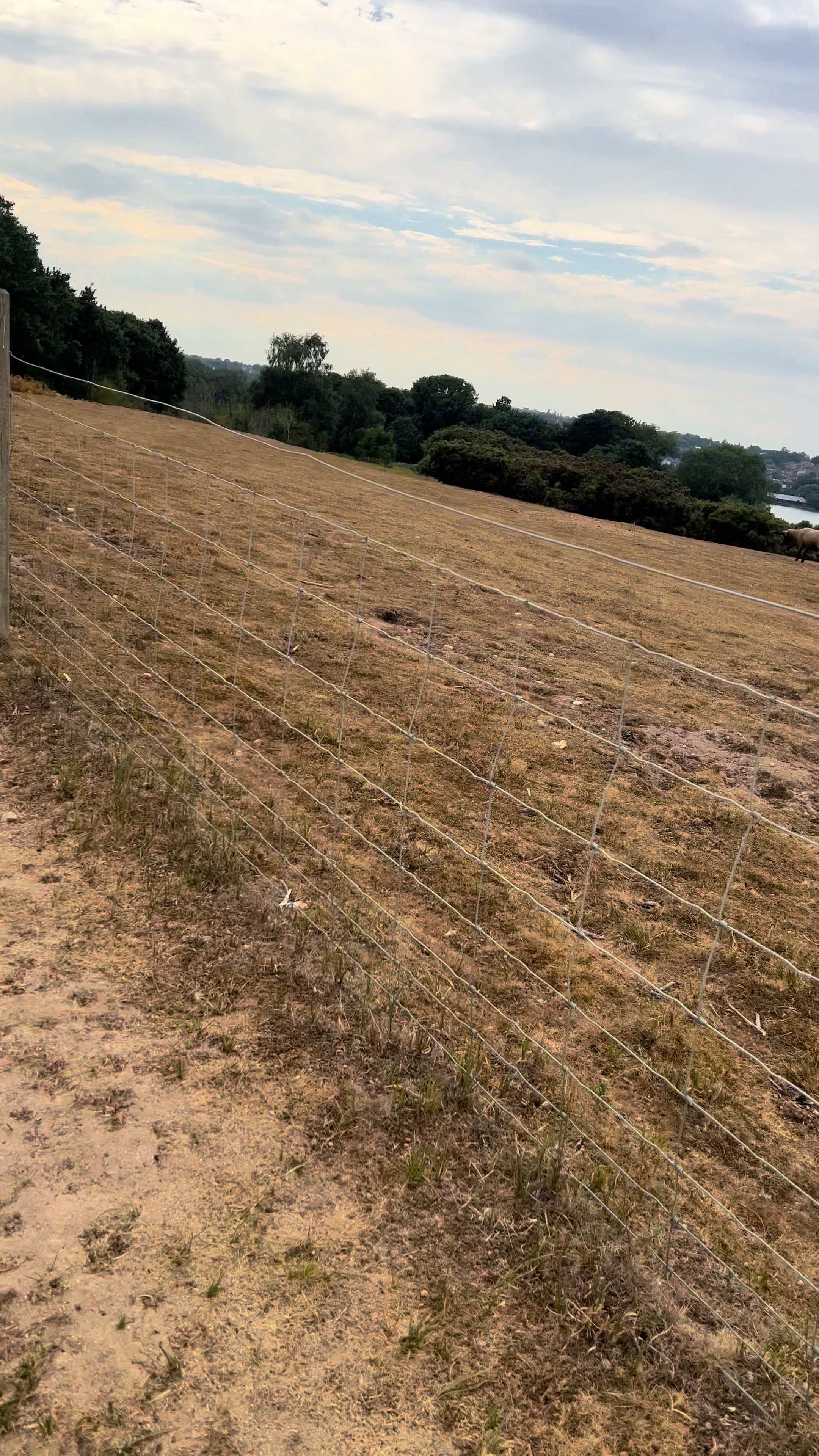 @Luna and Loki