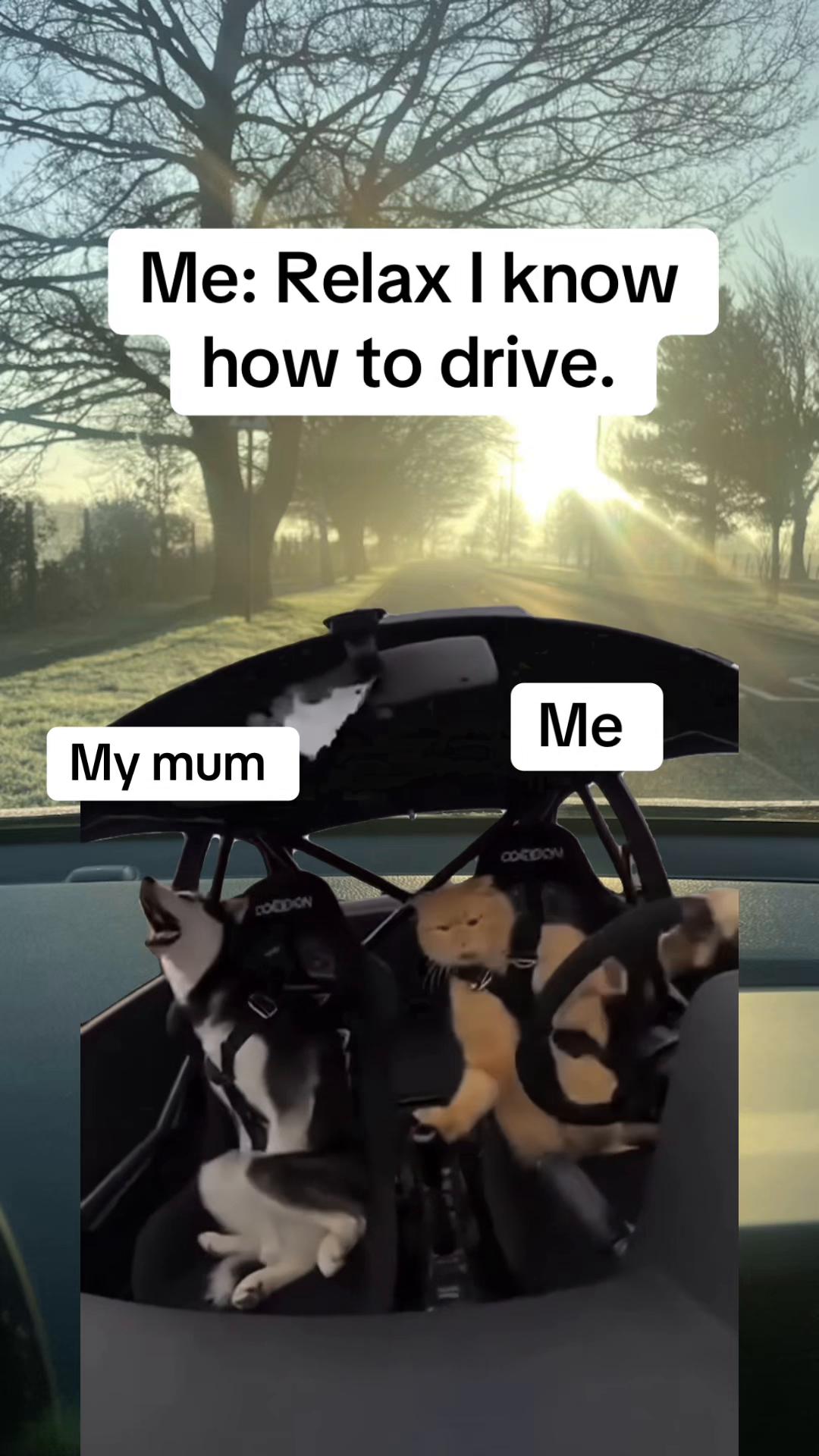 @𝓐𝓲𝓮𝓼𝓱𝓪 𝓙𝓮𝓪𝓷𝓮𝓽𝓽𝓮