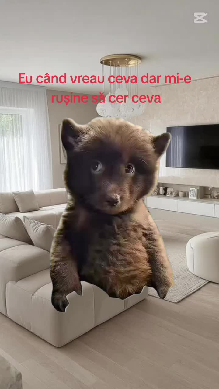 @deliapătulea4 stitch