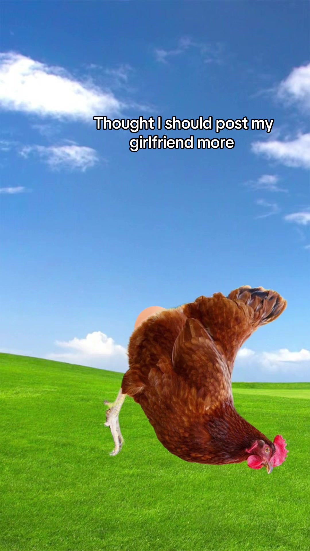 @Taylor Fox