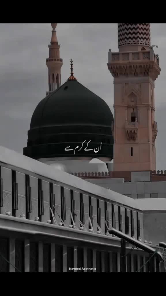 @Tariq Sultani