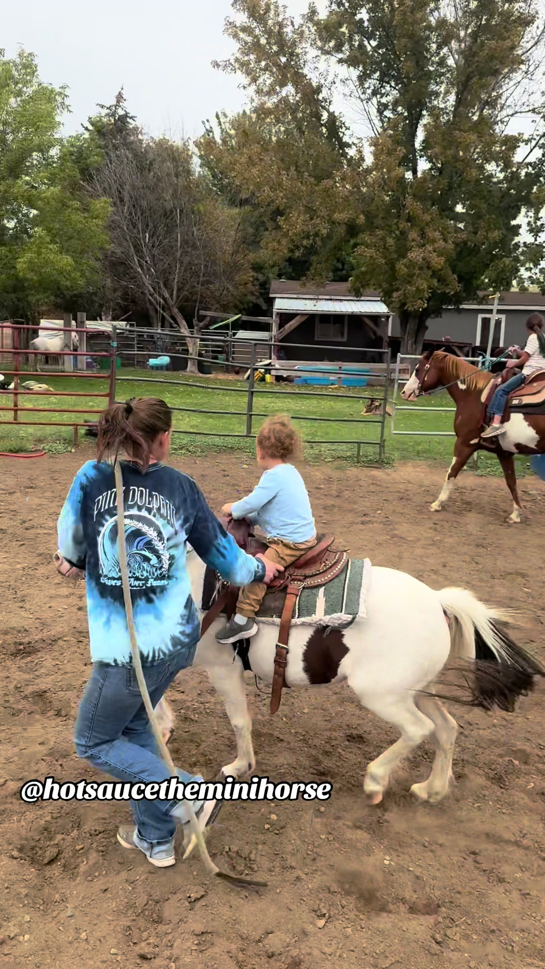 @Hot Sauce the Mini horse 🐎