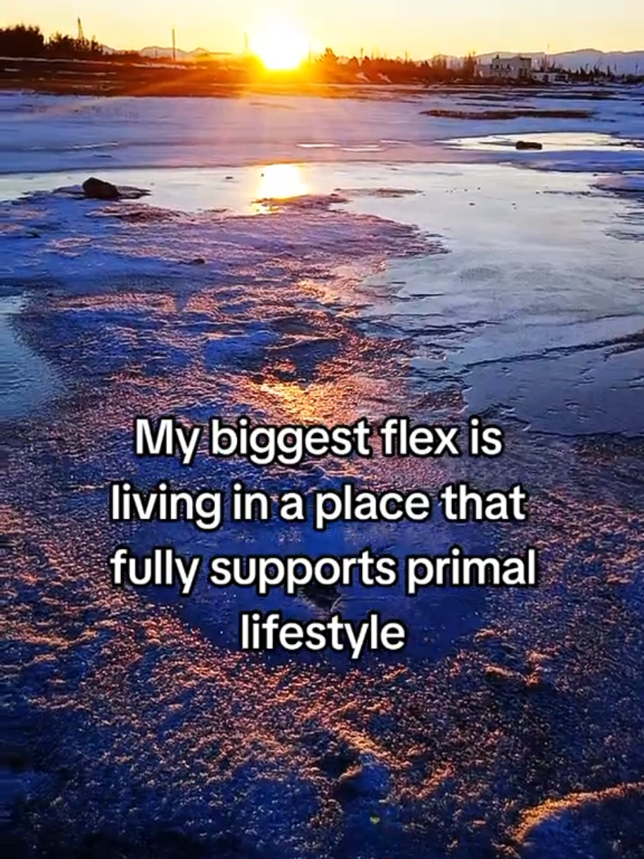 @fel0100