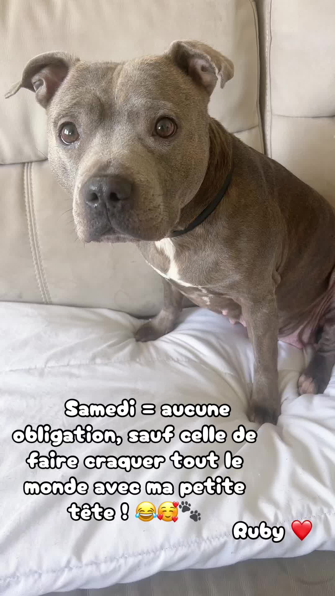 @rubylove_staffie94