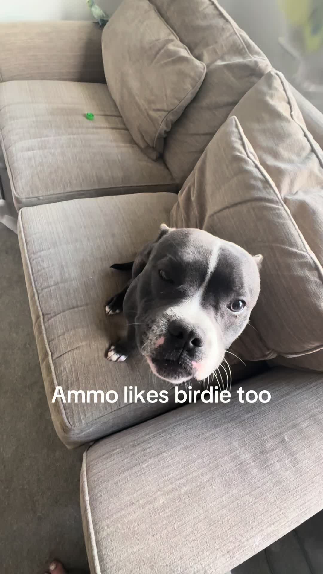 @𝐌𝐨𝐥𝐥𝐢𝐞🤍