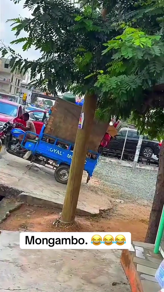 @presido_zebb