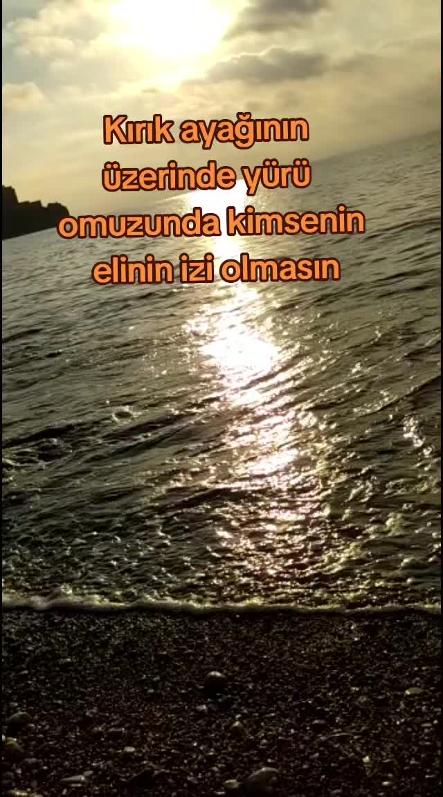 @67sevdam67